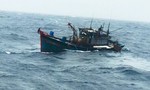 Quảng Ngãi: Sóng lớn khiến tàu chìm, 4 ngư dân mất tích trên biển