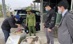 Thừa Thiên - Huế: Phát hiện xe tải chở 2 tấn nội tạng không rõ nguồn gốc