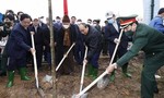 Chủ tịch nước dự lễ phát động Tết trồng cây "Đời đời nhớ ơn Bác Hồ"