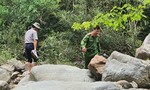 Lâm Đồng: Tăng cường các biện pháp quản lý, bảo vệ rừng