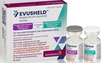 Evusheld là thuốc, không phải vaccine, không thay thế cho vaccine Covid-19