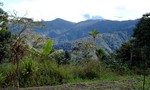 Phiến quân ly khai sát hại 8 người ở tỉnh Papua của Indonesia