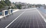 Hai doanh nghiệp điện mặt trời bi phạt gần 150 triệu đồng do vi phạm