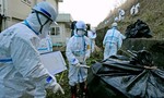 Fukushima hồi sinh sau thảm họa hạt nhân 11 năm trước