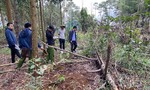 Phát hiện thêm nhiều điểm chôn lấp thông để phi tang tại xã Lộc Phú