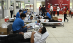 Vedan Việt Nam duy trì và phát huy chương trình hiến máu nhân đạo
