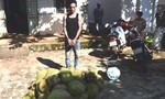 Bắt giữ thanh niên tham gia trộm hơn 200 kg sầu riêng