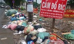Cần xử lý nghiêm những công ty thu gom rác rồi đổ ra môi trường