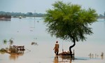 Lũ lụt ở Pakistan khiến 1.000 người thiệt mạng
