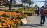 Nhà vườn hạ giá ‘sập sàn’, chợ hoa Tết Bến Bình Đông vẫn… ế ẩm
