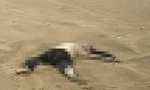 Quảng Ngãi: Phát hiện 2 thi thể trôi dạt vào bờ biển