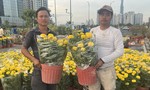 Hoa Tết: Đừng để hương thơm thành nỗi niềm cay đắng