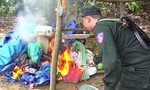 Quyết liệt truy quét "vàng tặc" tại Bồng Miêu để đóng cửa mỏ