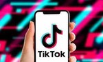 Công bố kết luận kiểm tra toàn diện hoạt động của TikTok tại Việt Nam