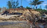 Quảng Nam: Người dân bất an khi sống cạnh bờ biển bị xói lở nghiêm trọng