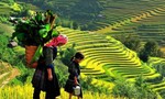 Sa Pa và Cần Thơ lọt top 10 “điểm đến mùa thu hấp dẫn nhất châu Á”