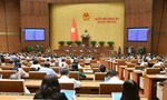 Trình Quốc hội 2 phương án về quyền, nghĩa vụ sử dụng đất của người Việt định cư ở nước ngoài