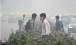 Thủ đô Ấn Độ phải đóng cửa trường học vì ô nhiễm không khí