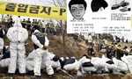 Kỳ 2: Sát nhân hàng loạt lên màn ảnh Hàn