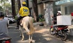 CSGT TPHCM phạt thanh niên mặc áo xe công nghệ Be cưỡi ngựa trên đường
