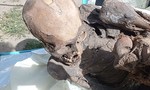 Người đàn ông mang xác ướp gần 800 năm tuổi trong túi giao đồ ăn ở Peru