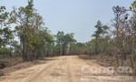 Yêu cầu dừng thi công múc đất rừng để làm đường vào dự án
