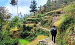 Nepal cấm du khách đi bộ thám hiểm một mình
