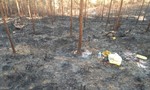 Cháy rừng khiến 2 người dập lửa tử vong
