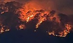 Vụ cháy rừng thông nguyên sinh 70 năm tuổi ở Đà Lạt: Ảnh hưởng 10 ha rừng