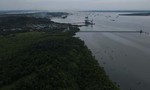 Indonesia đẩy mạnh phục hồi rừng ngập mặn giúp thu hút du lịch