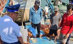 Cảnh sát biển bắt giữ tàu thủy vận chuyển 39.000 lít dầu DO không phép