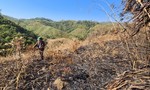 Đắk Nông: Một cá nhân bị phạt 105 triệu đồng vì lấn chiếm đất rừng