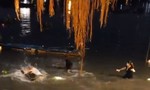 Ẩu đả trên sông Sài Gòn vì cá phóng sinh vừa thả đã bị chích điện