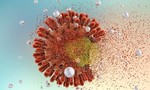 Thử nghiệm lâm sàng vaccine ngừa HIV tại Mỹ và Nam Phi