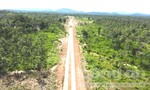 Đề xuất không chuyển đổi hơn 4.700 héc-ta rừng khộp