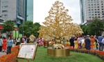 Cây dát vàng hút khách tham quan tại đường hoa Nguyễn Huệ