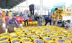 Ninh Thuận:  Tăng cường các giải pháp chống khai thác hải sản vi phạm IUU