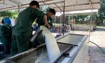 Tập đoàn Công nghiệp Cao su Việt Nam đẩy mạnh tăng trưởng xanh