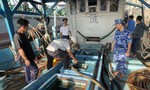 Cảnh sát biển bắt tàu chở 50.000 lít dầu DO trái phép trên biển Tây Nam