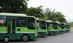TPHCM: Đưa 239 xe buýt mới vào phục vụ hành khách từ ngày 1/4