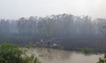 Đã khống chế được đám cháy lớn tại Vườn Quốc gia Tràm Chim