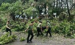 Hàng trăm sinh viên Học viện An ninh nhân dân tham gia khắc phục hậu quả bão số 3