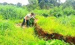 Vụ sụt lún tại Đức Cơ: Khoanh vùng cảnh báo, đề nghị khảo sát chuyên sâu