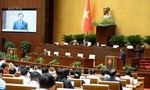 Xem xét nâng mức đặt cọc đến 50%, cấm tham gia đấu giá quyền sử dụng đất ở nếu 'bỏ cọc'