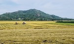 Đê bao "bủa vây" đồng bằng, mối nguy khó lường