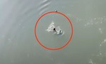 Cán bộ xí nghiệp chè dừng ô tô dũng cảm lao xuống sông cứu người nhảy cầu