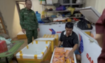 Triệt phá đường dây tuồn hàng tấn thực phẩm bẩn mỗi ngày qua cửa khẩu vào Việt Nam