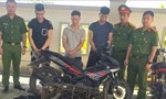 Nhóm đối tượng dùng súng bắn điện một đêm trộm gần chục con chó