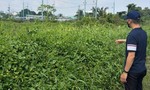 Xã Tân Nhựt, TPHCM: Tháo gỡ "nút thắt" thủ tục dự án cửa hàng xăng dầu