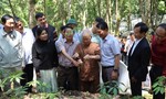 Dấu mốc 53 năm phát hiện “quốc bảo” sâm Ngọc Linh